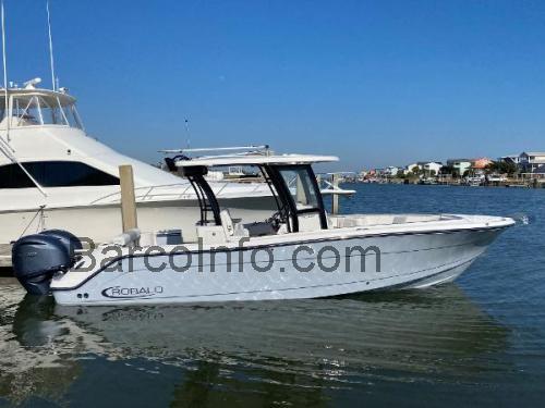 Robalo R302 Center Console ficha técnica y opiniones